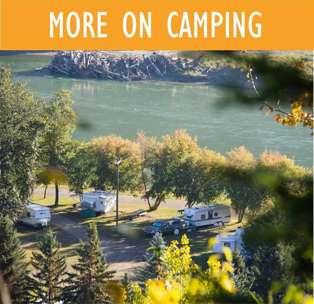 camping logo camping logo