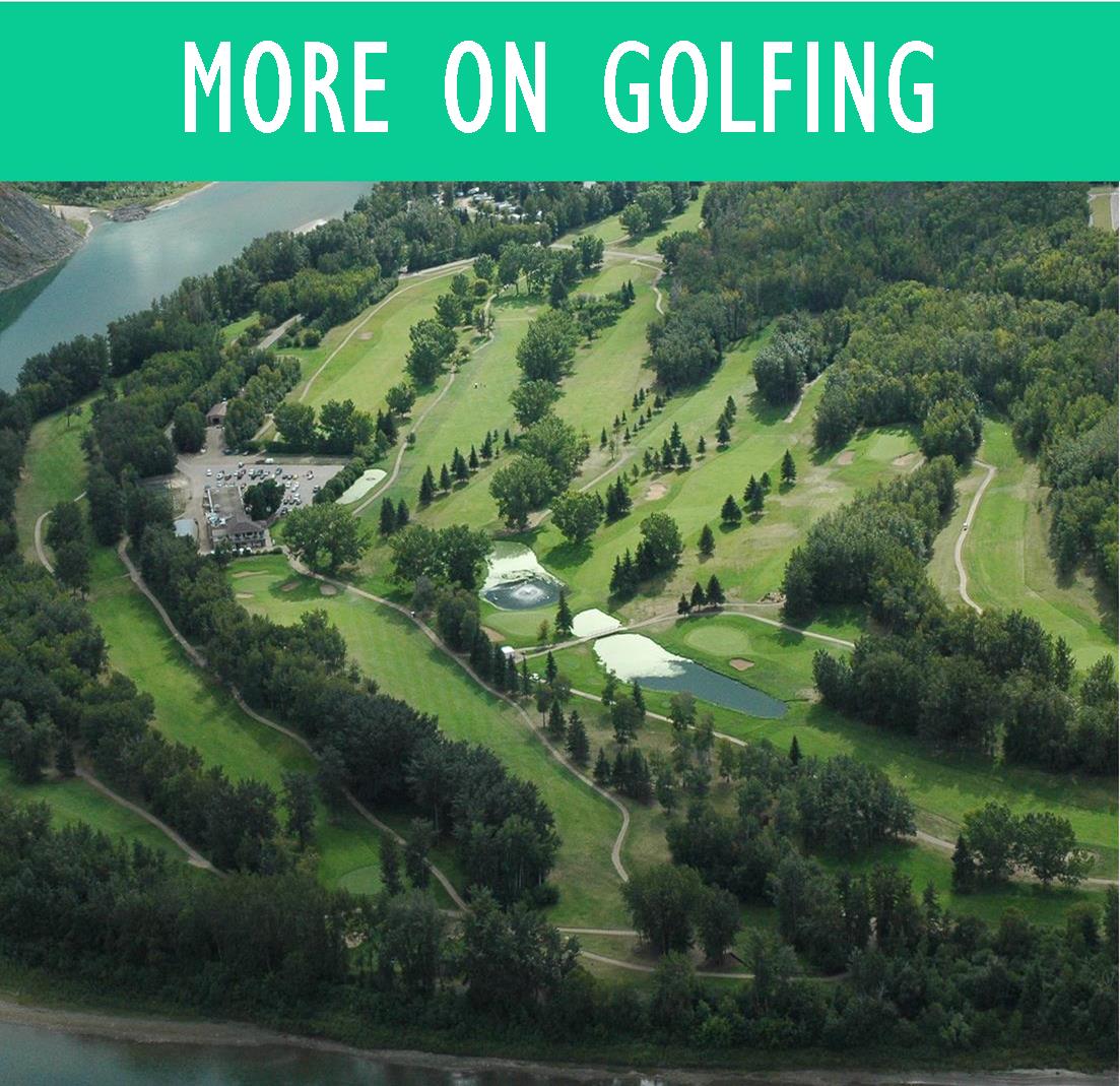golf golf